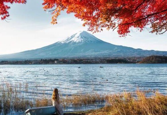 Mount Fuji Day Trip With English Japanese Hindi Speaking Driver