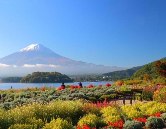 Oishi Park